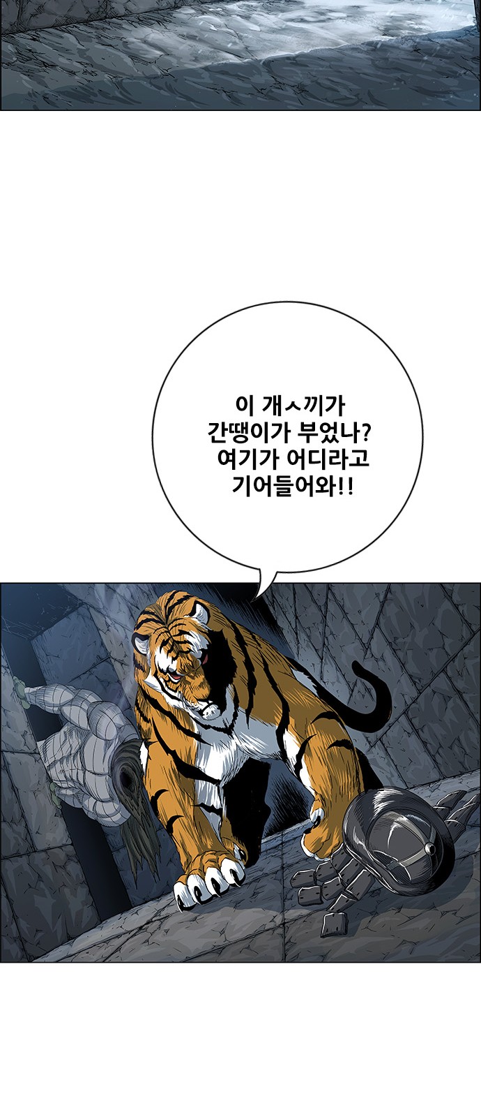 48 페이지