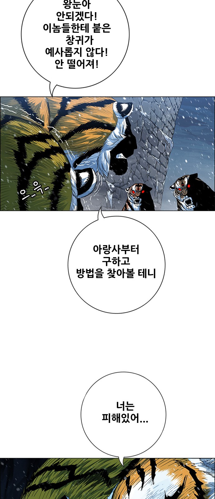 52 페이지