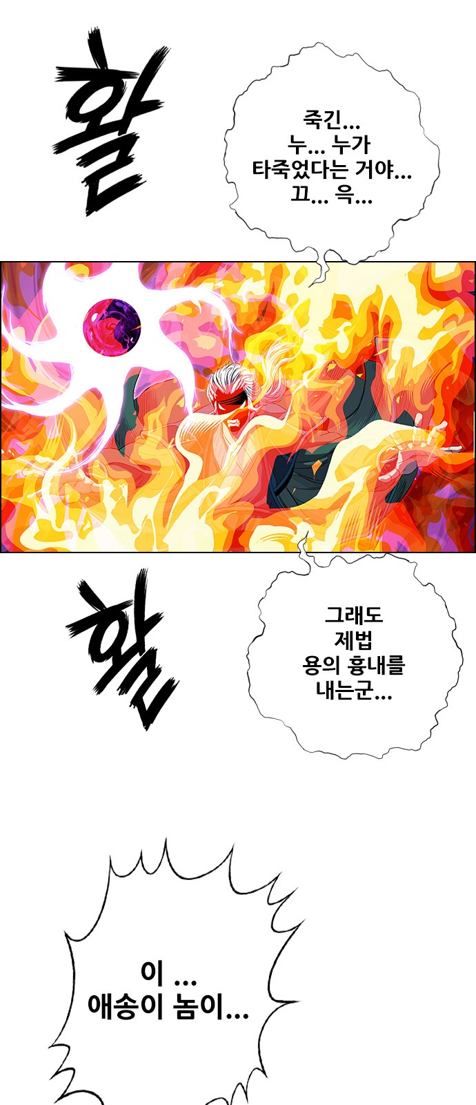 55 페이지