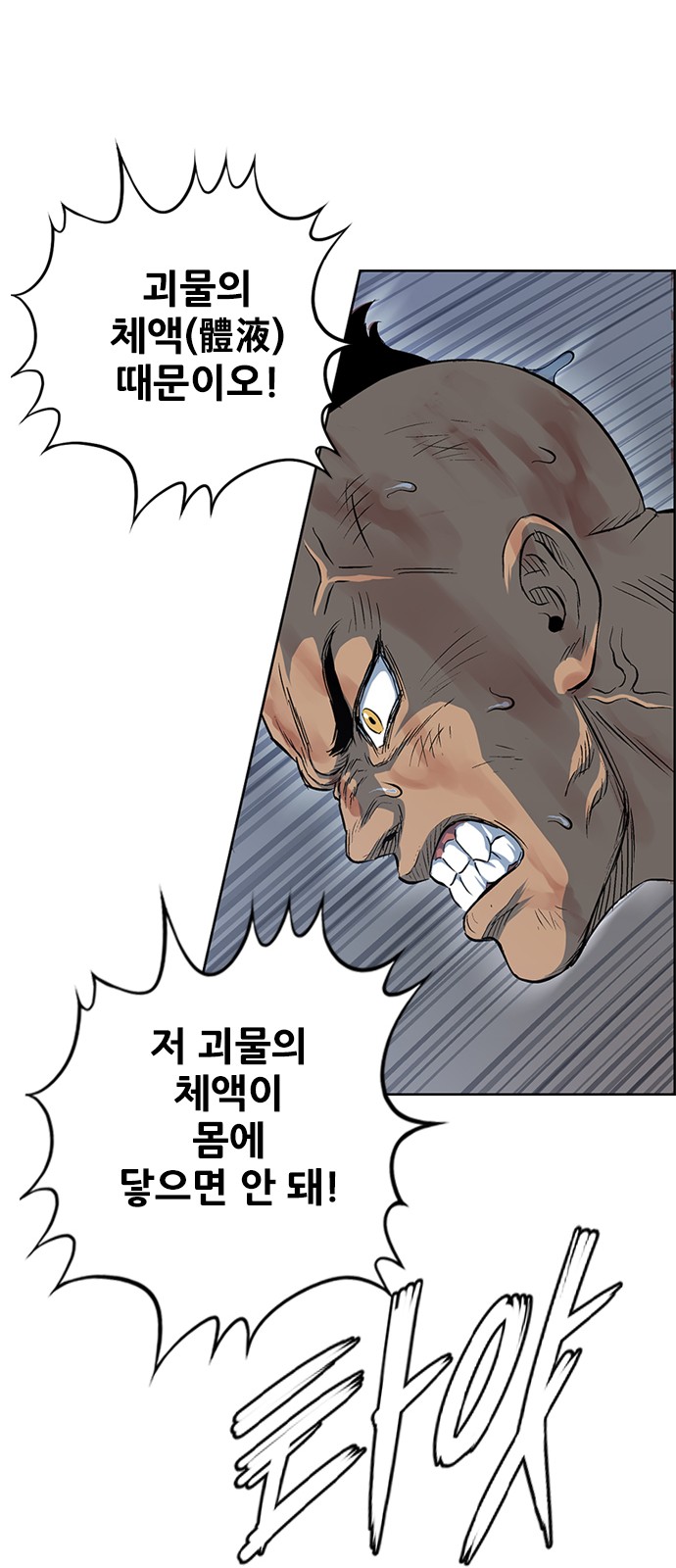 68 페이지