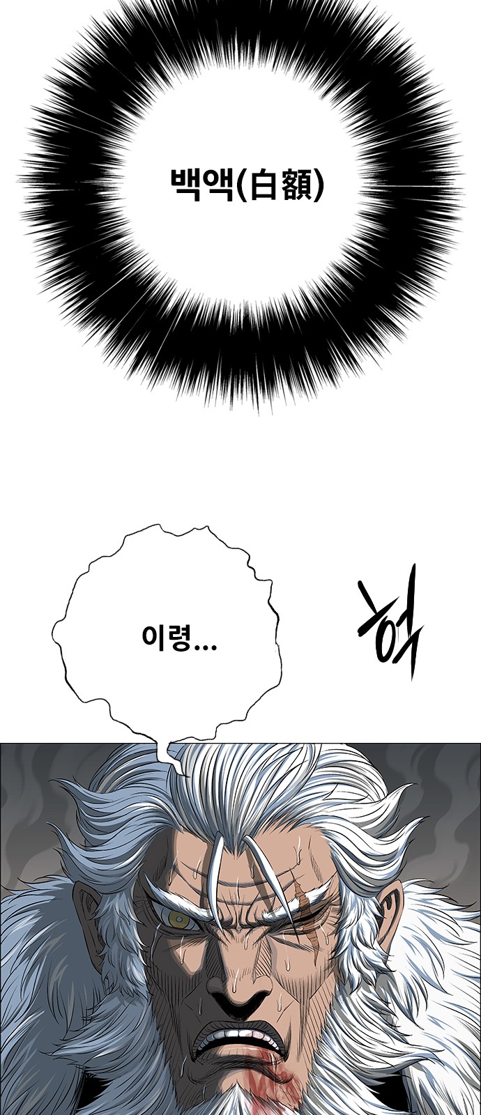 41 페이지