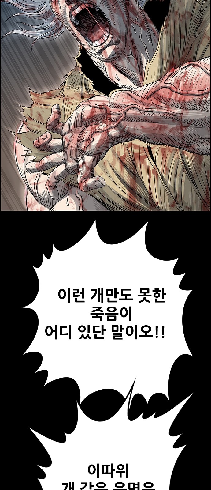 52 페이지