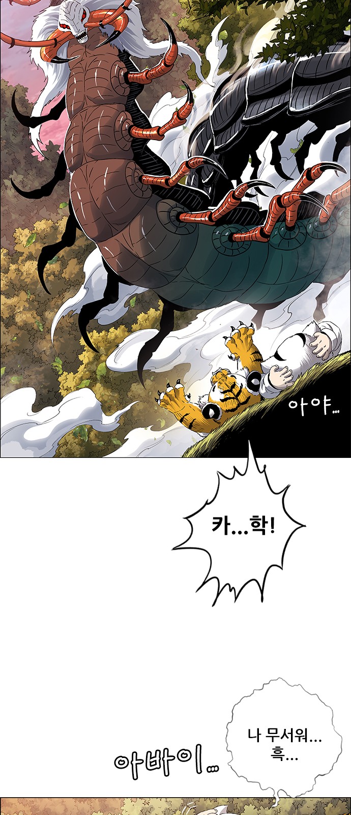 41 페이지