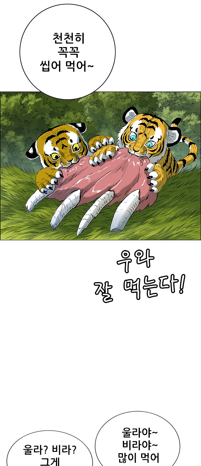46 페이지