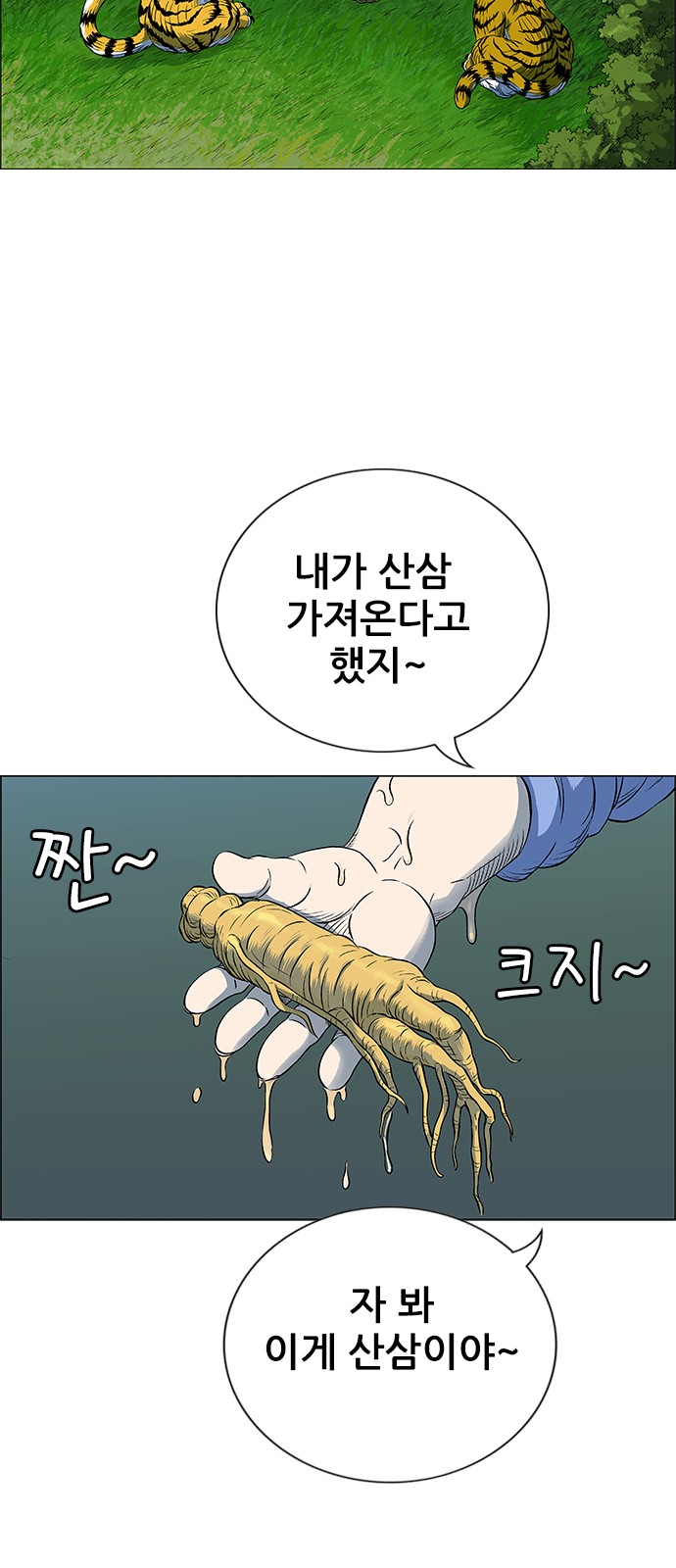 74 페이지