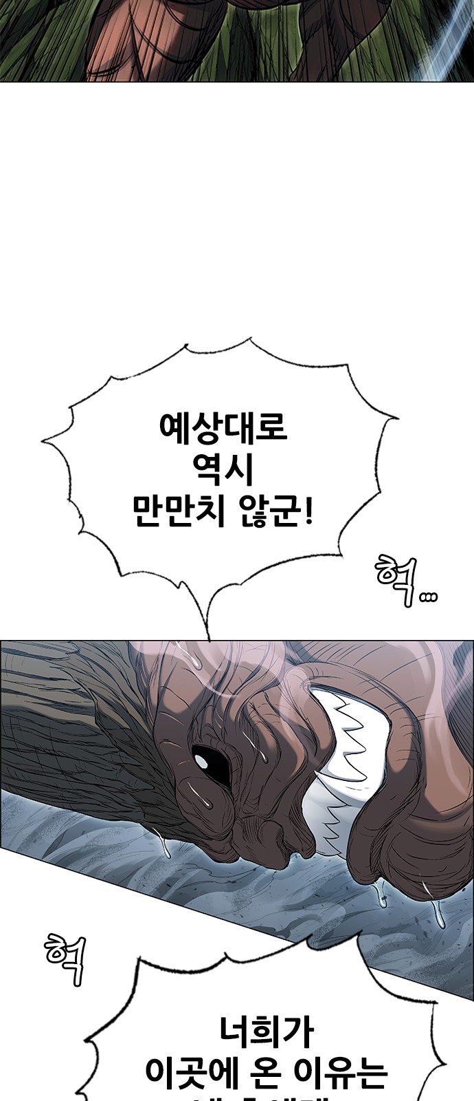 51 페이지