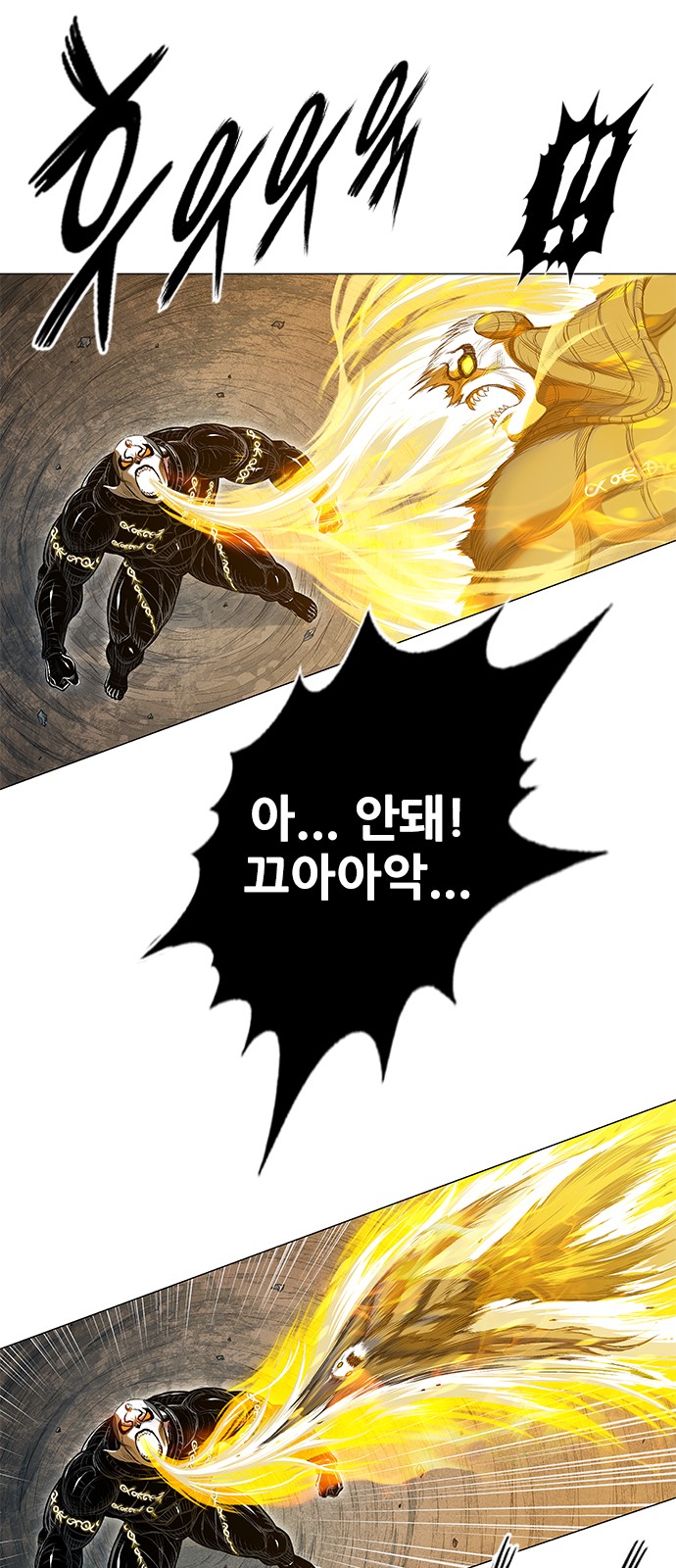 33 페이지