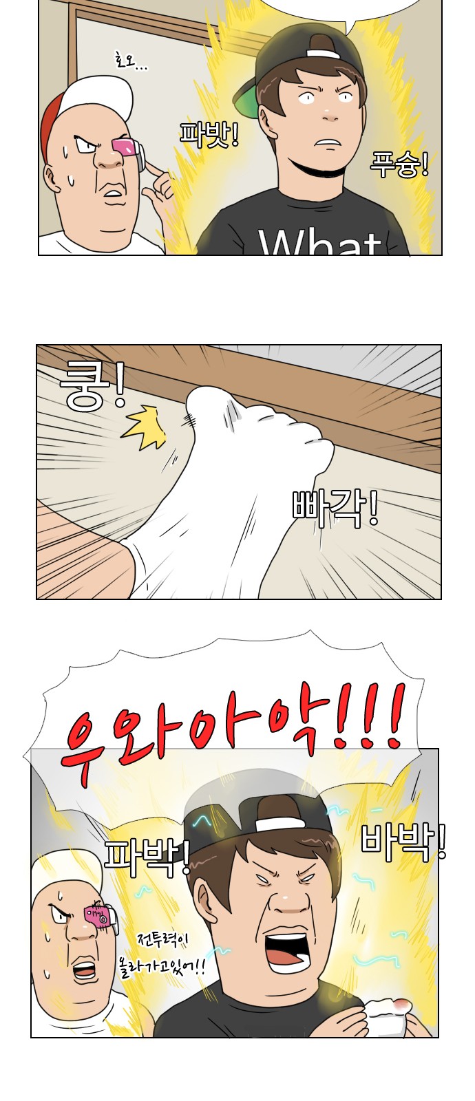 17 페이지