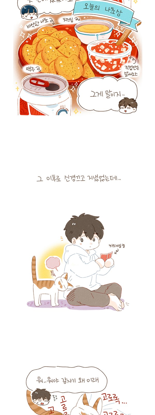 11 페이지