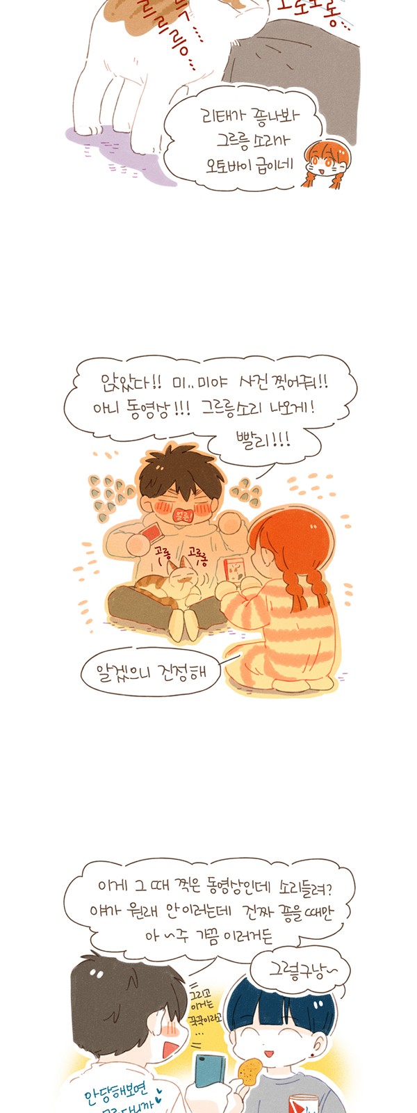 12 페이지