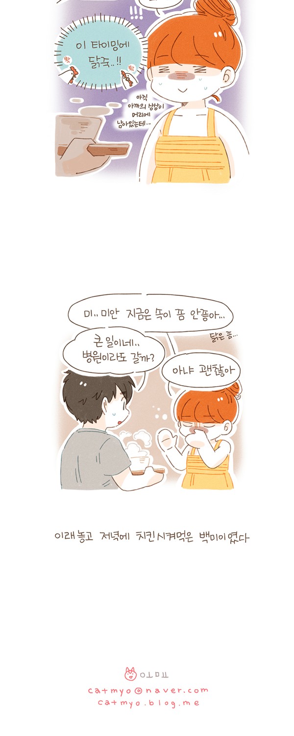 13 페이지