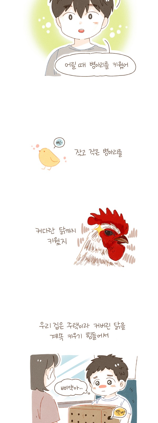 6 페이지