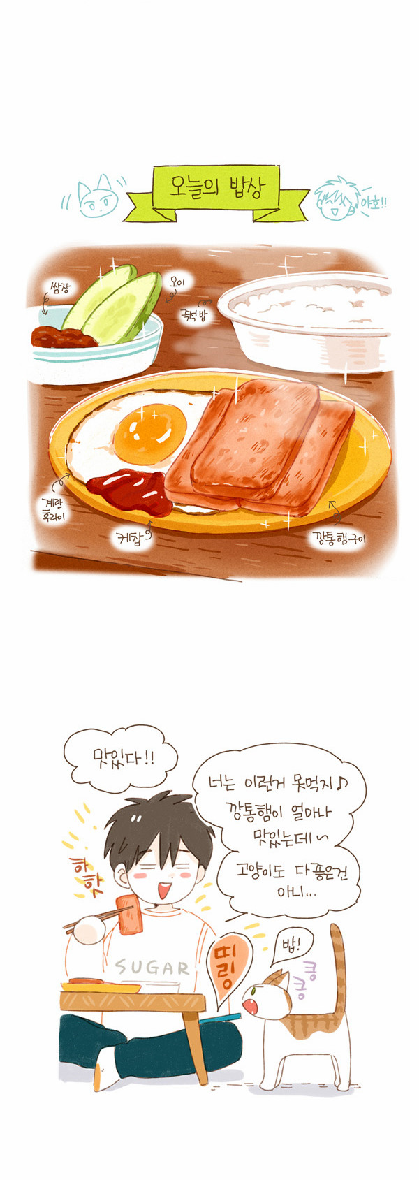 11 페이지