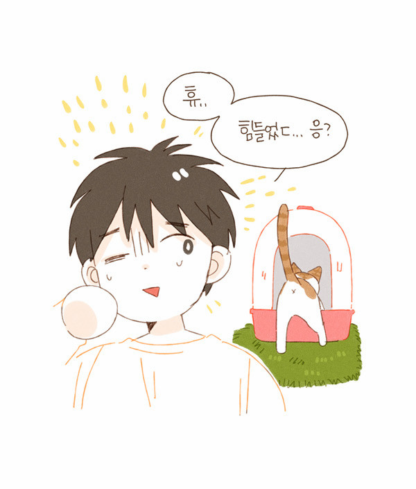 5 페이지