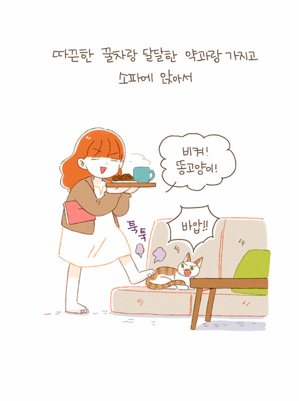 5 페이지