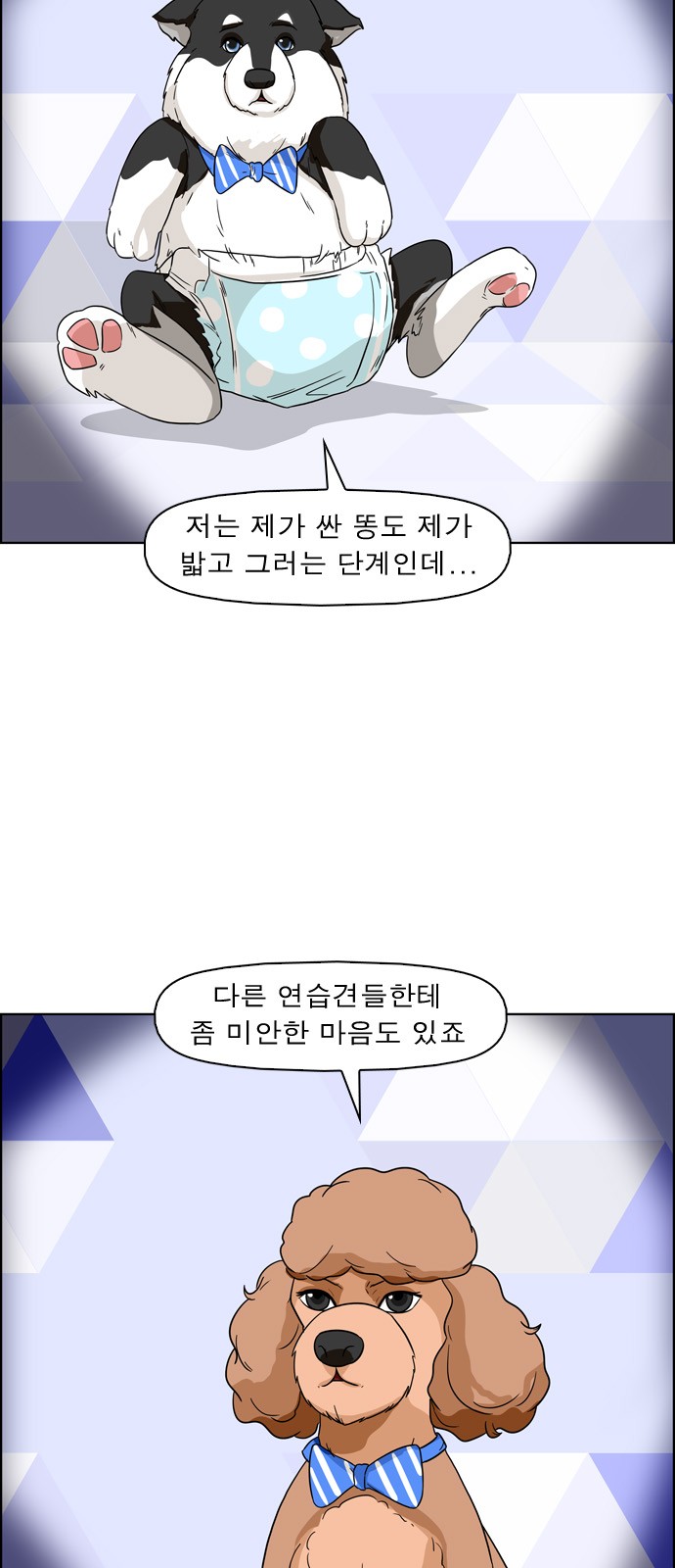 11 페이지