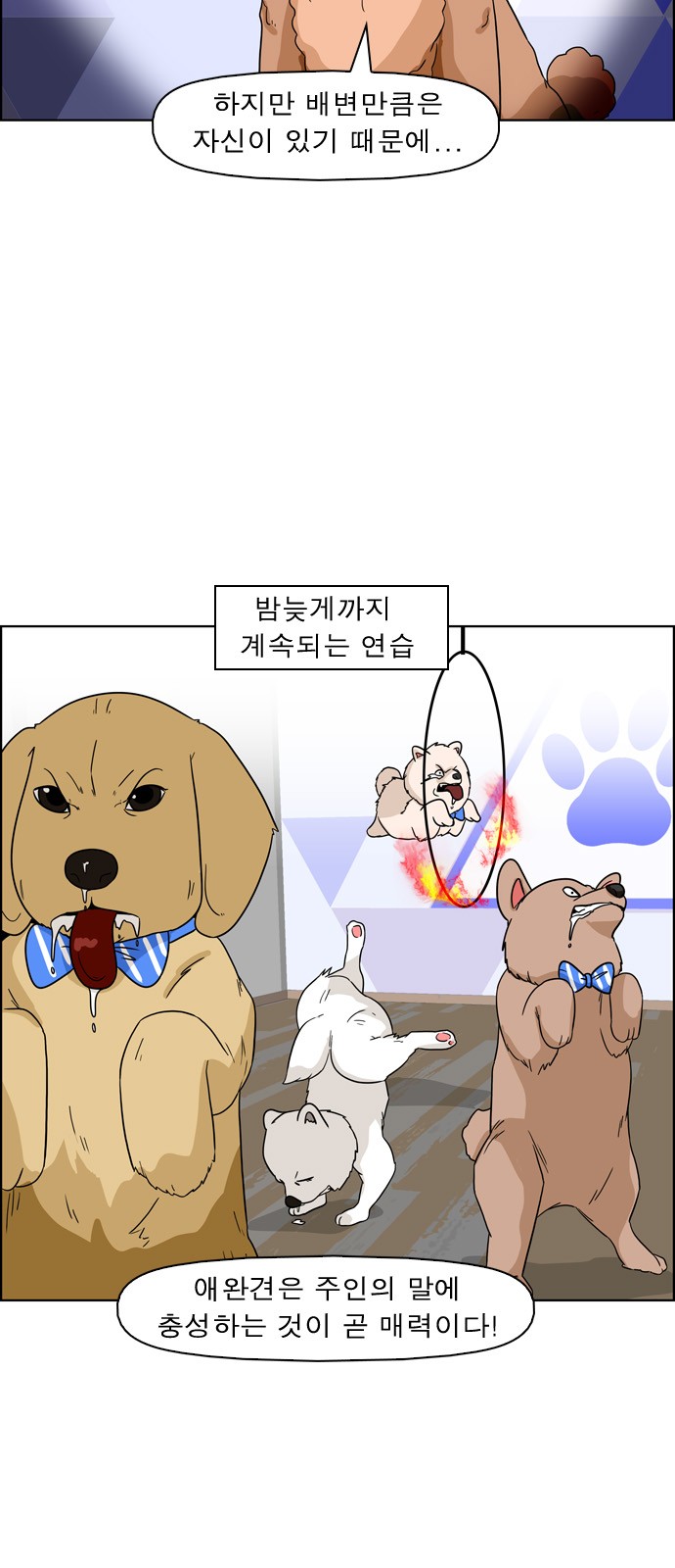 12 페이지