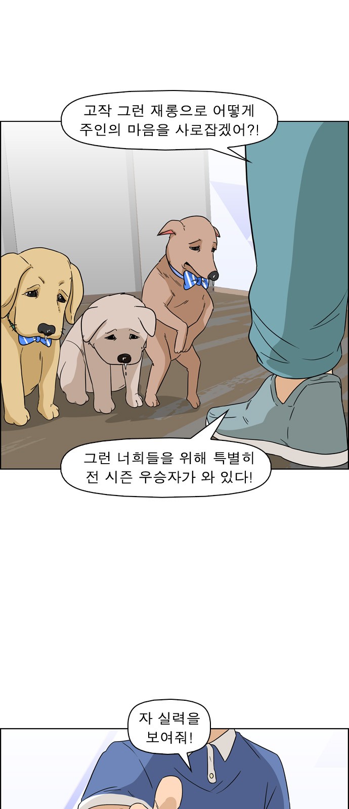 13 페이지