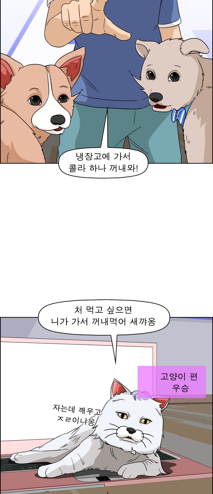 14 페이지