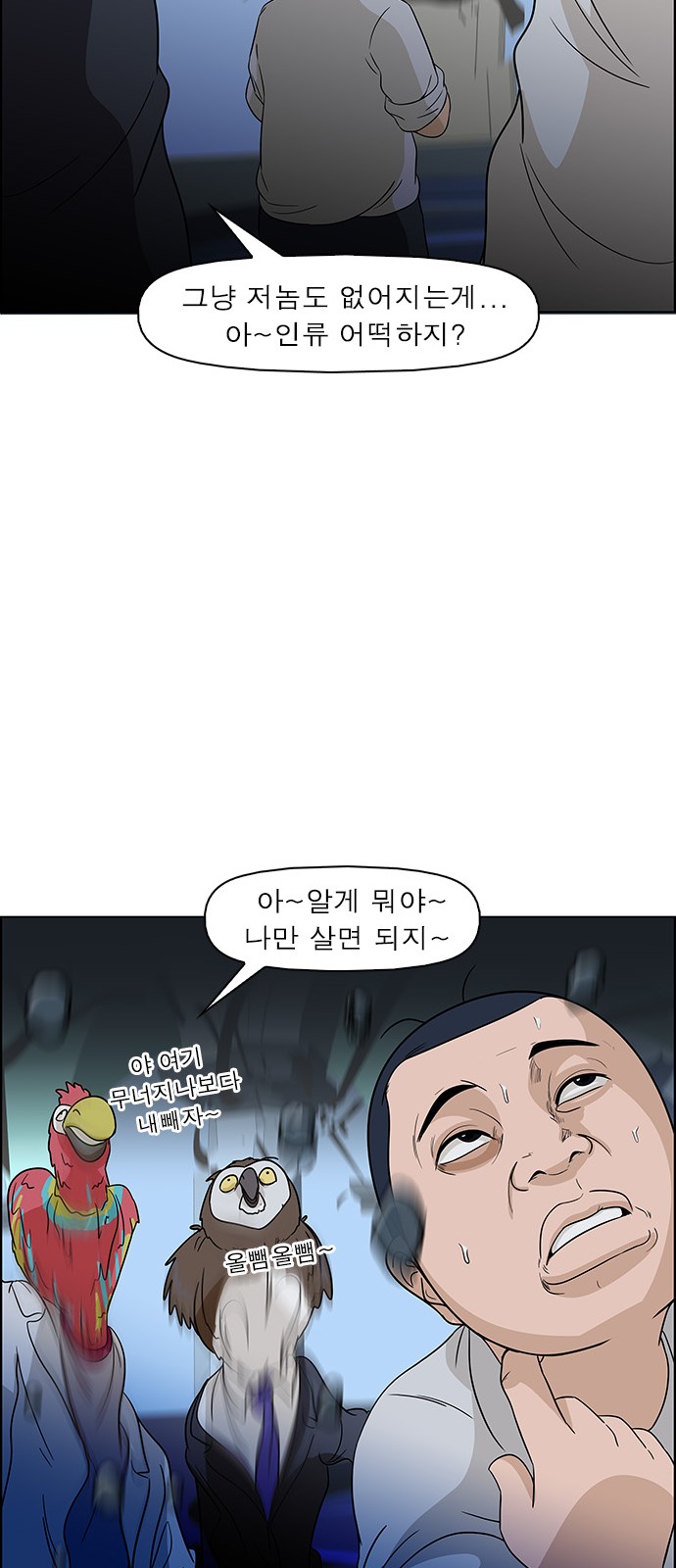 19 페이지