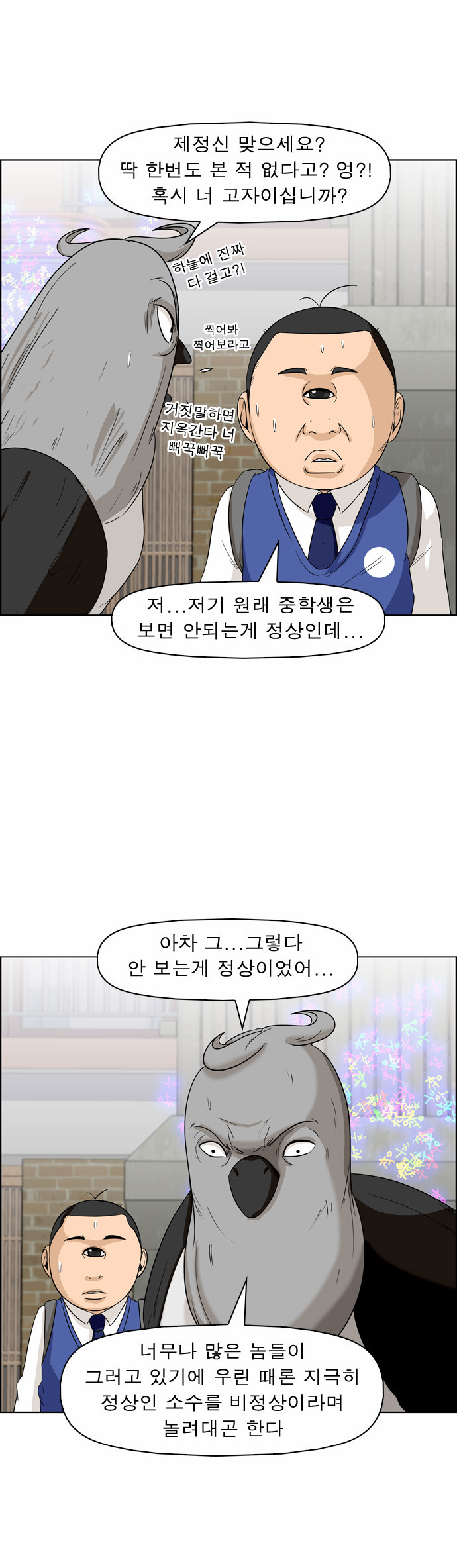 13 페이지