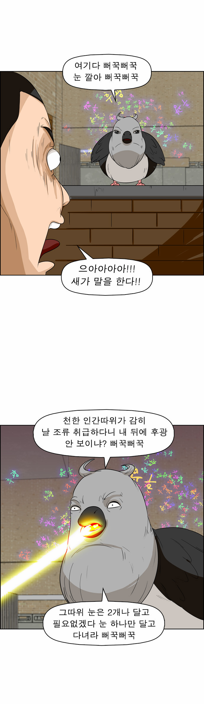 5 페이지