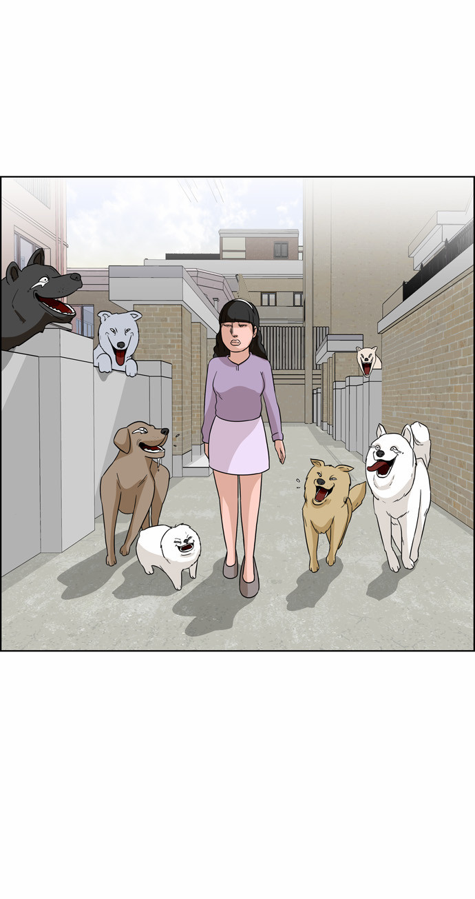 15 페이지