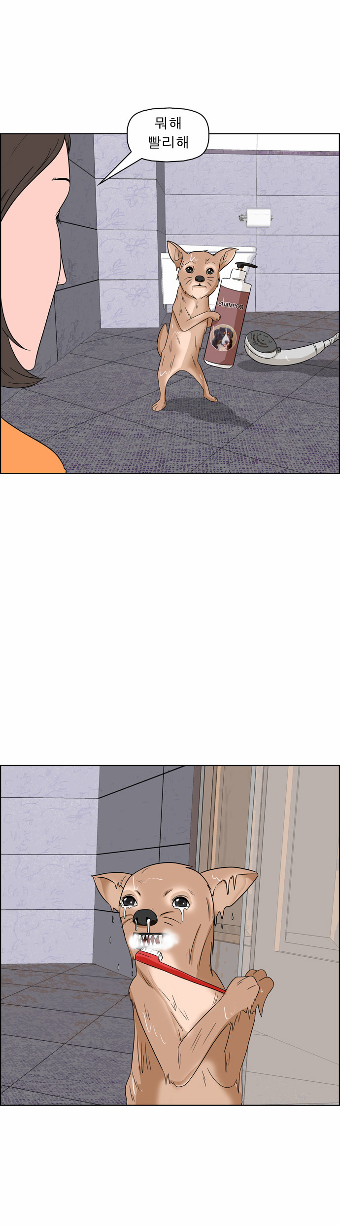 5 페이지