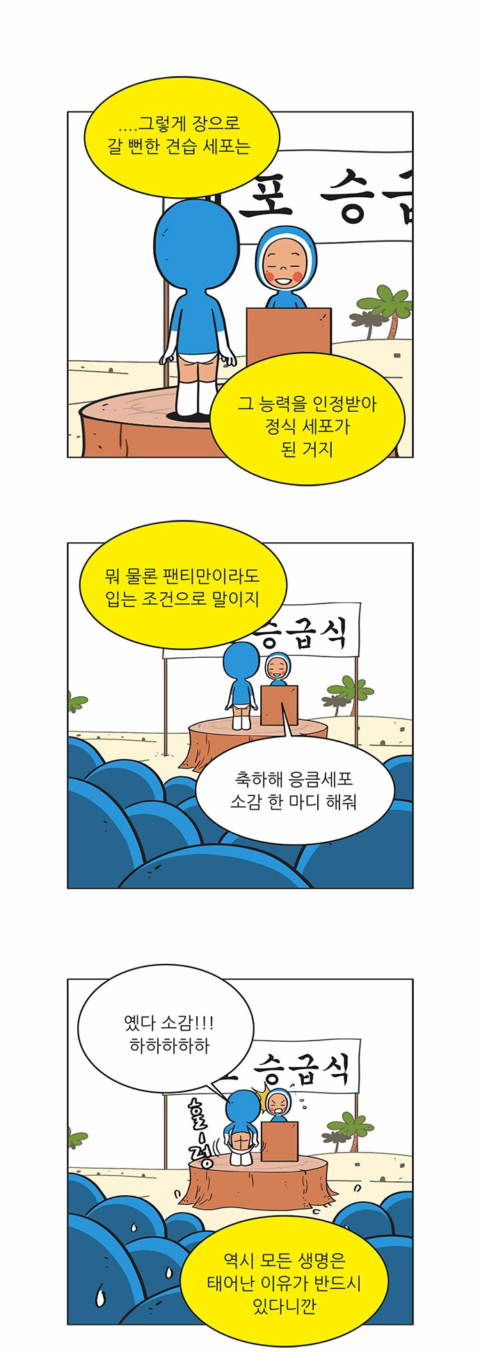 12 페이지