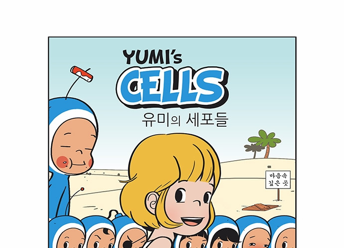 13 페이지
