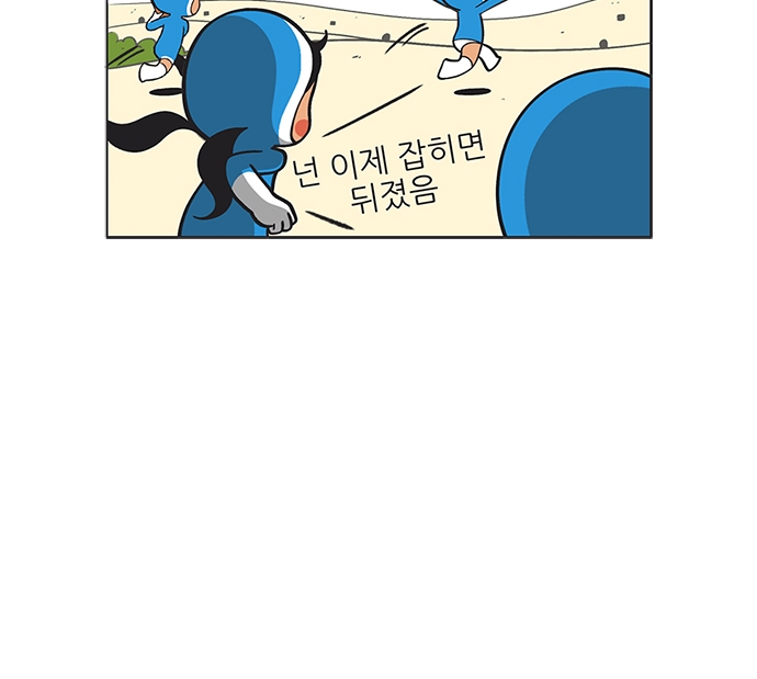 14 페이지