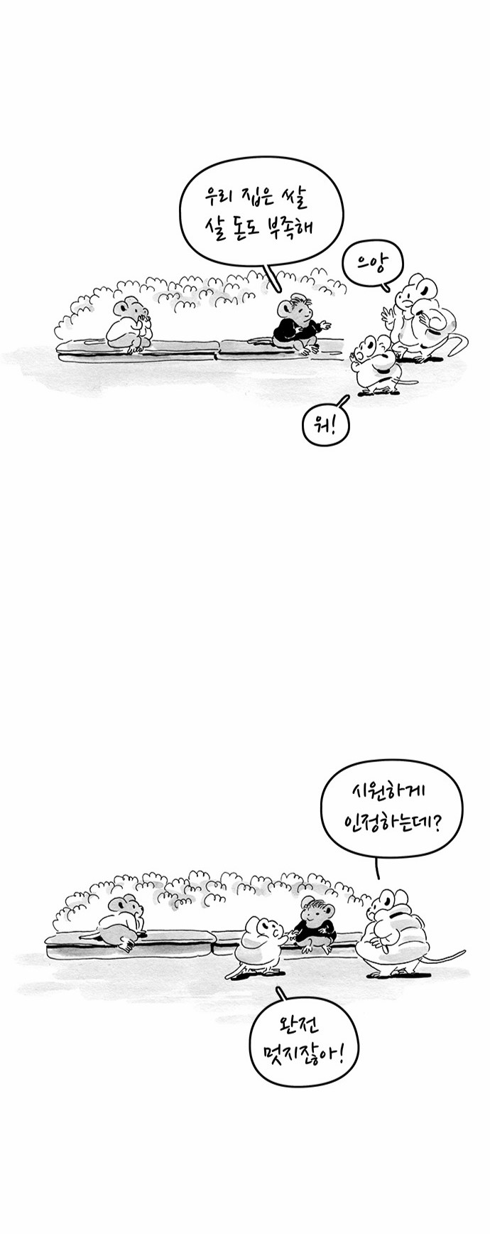 5 페이지