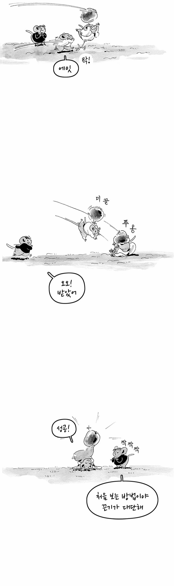 12 페이지