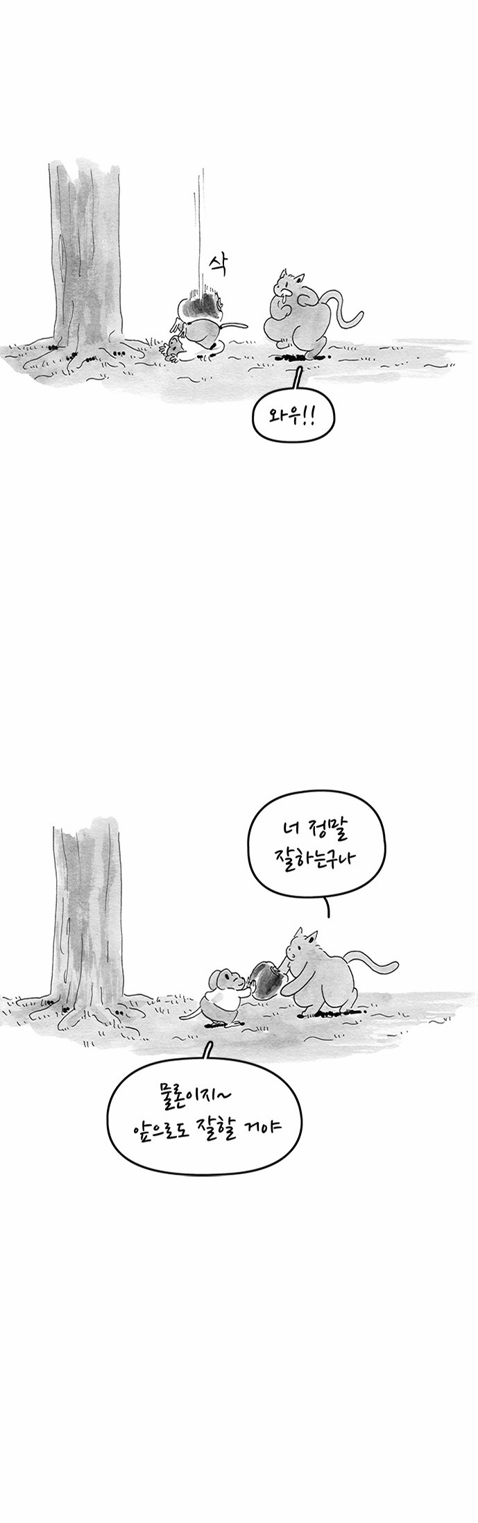 17 페이지