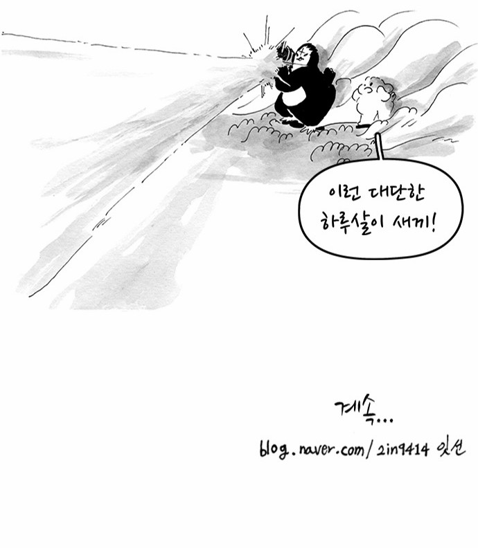 15 페이지