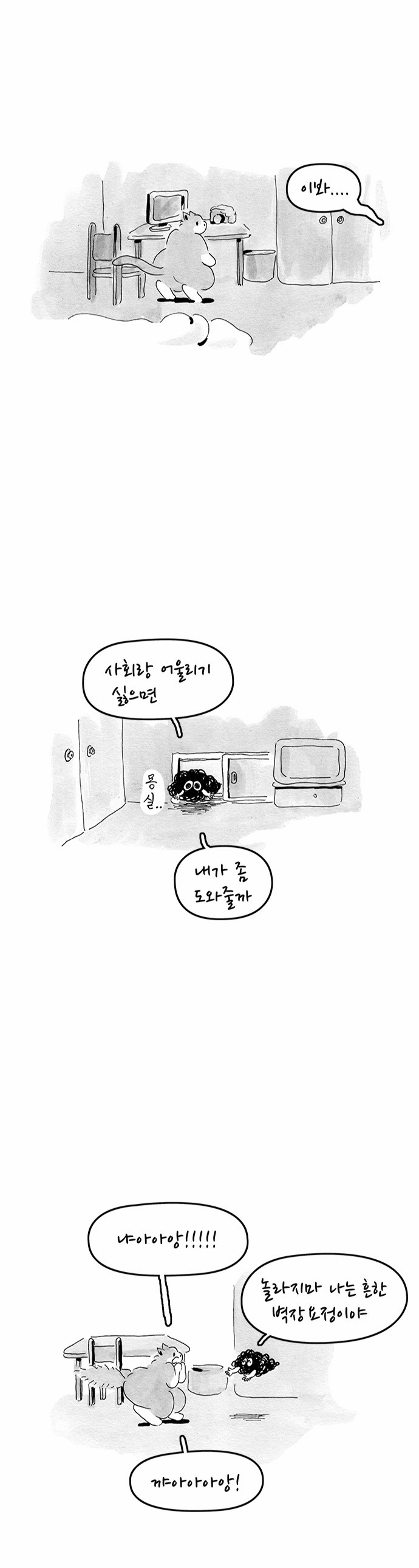 13 페이지