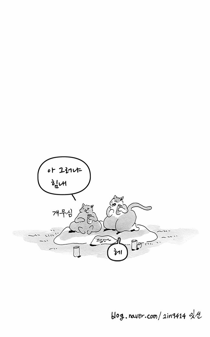 19 페이지