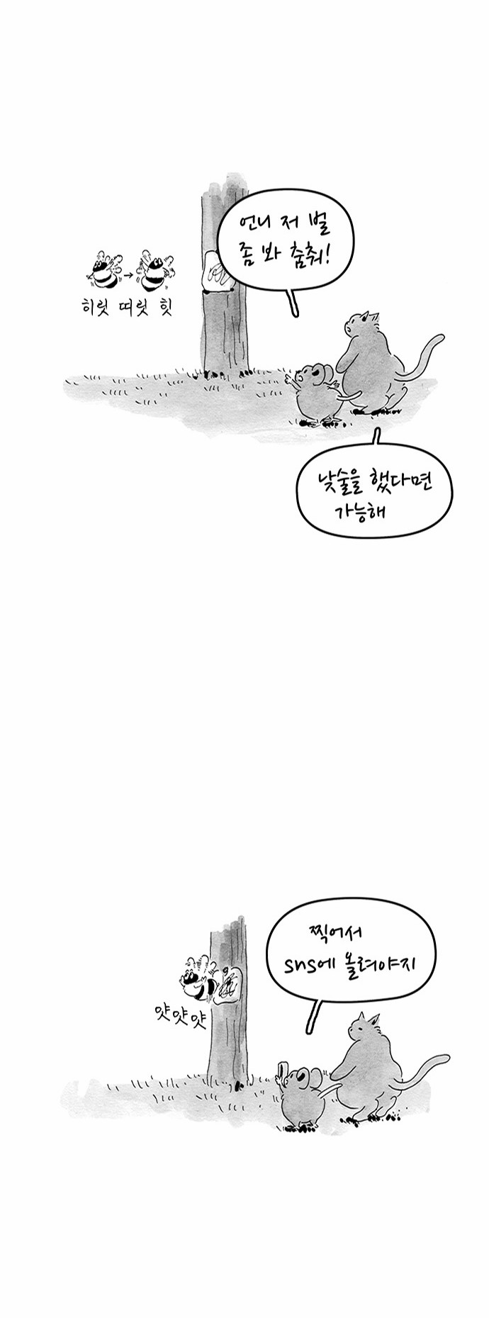 11 페이지