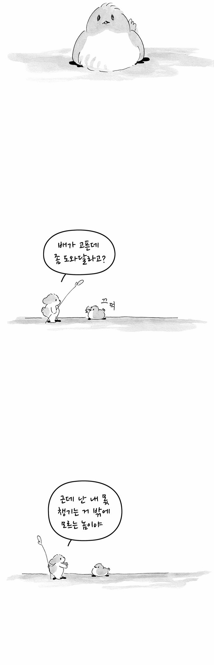 11 페이지