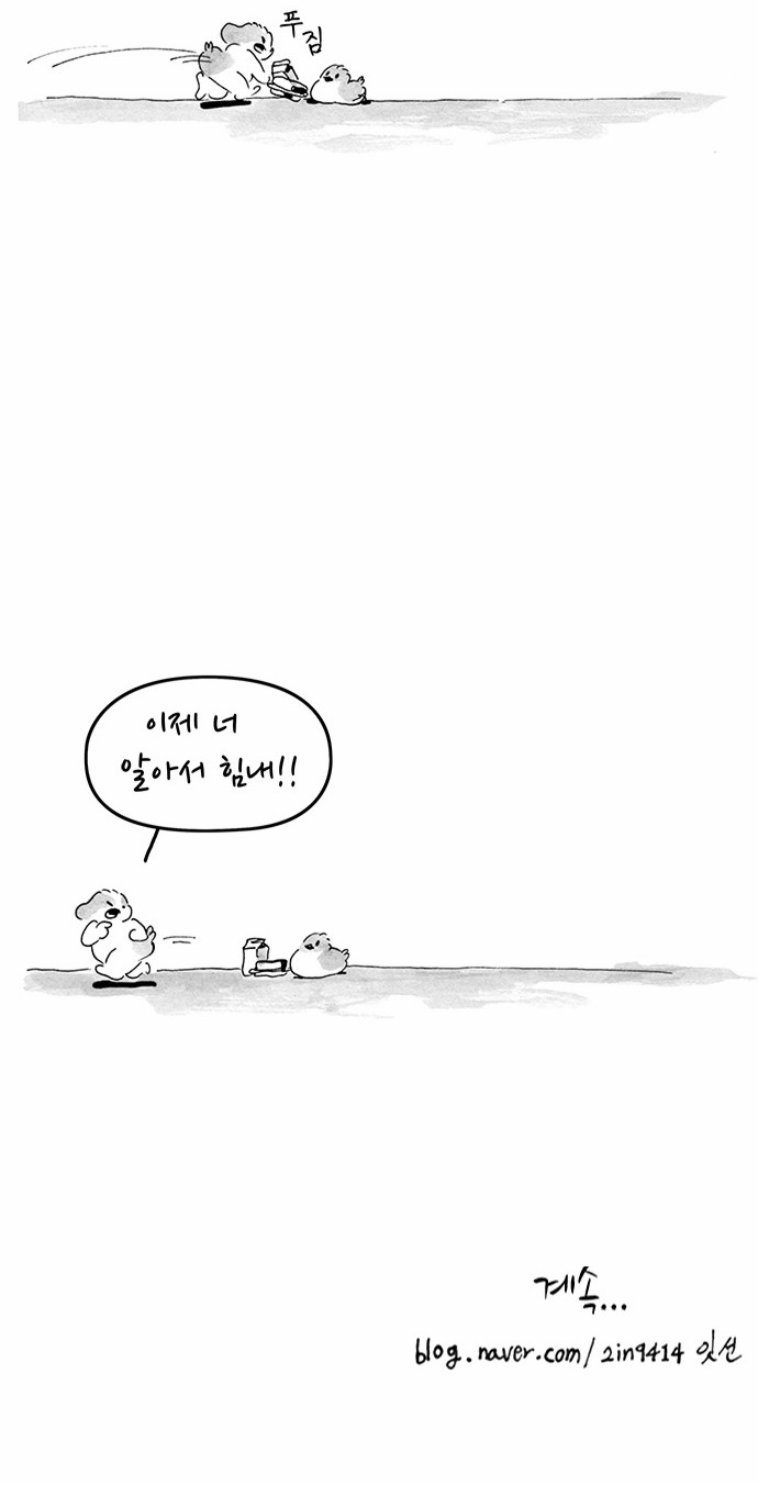 13 페이지