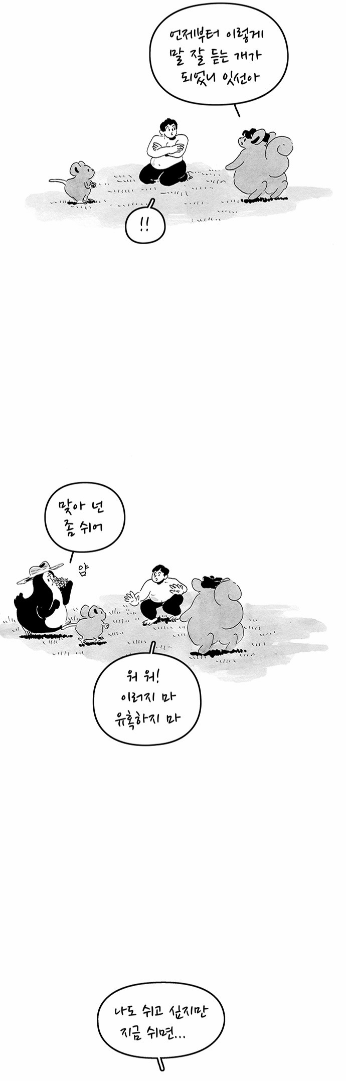 12 페이지