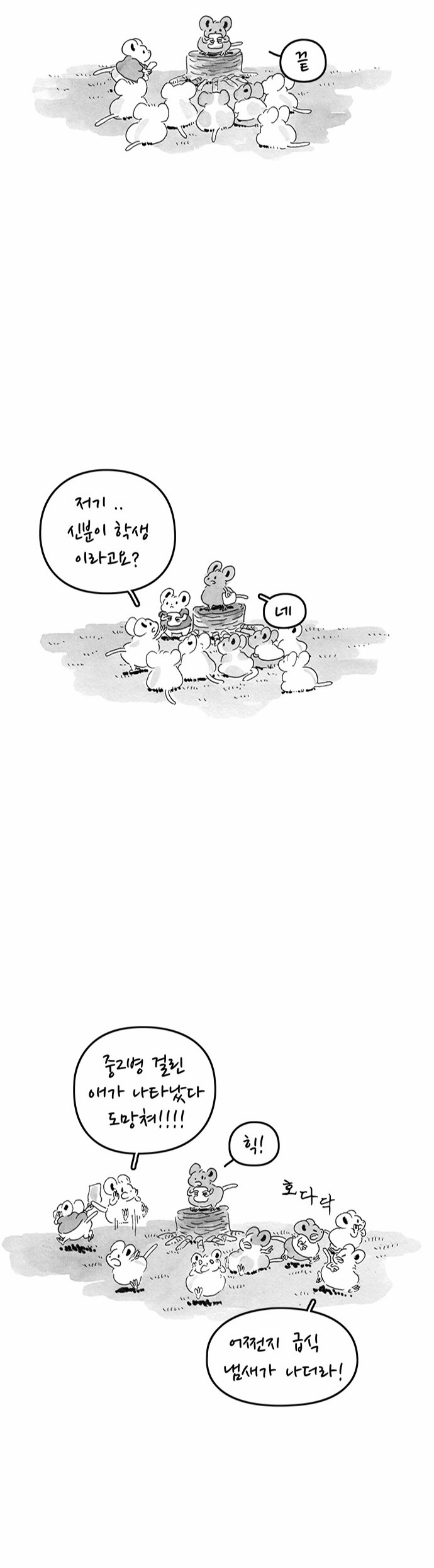 5 페이지