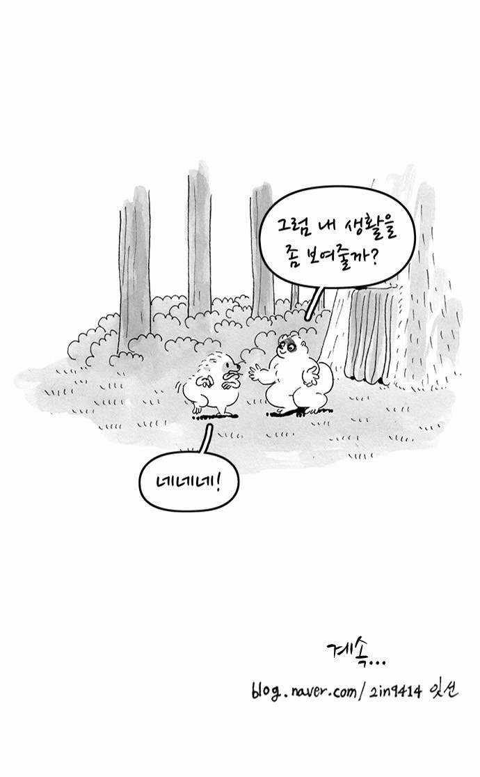 15 페이지
