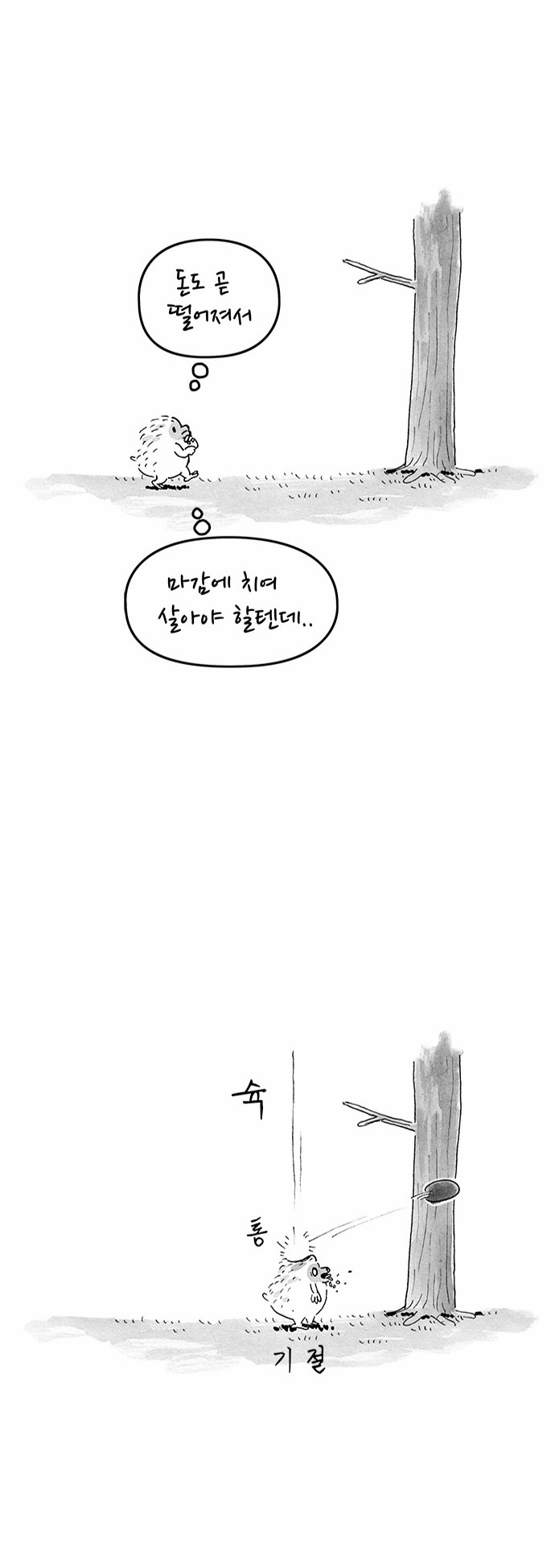 5 페이지