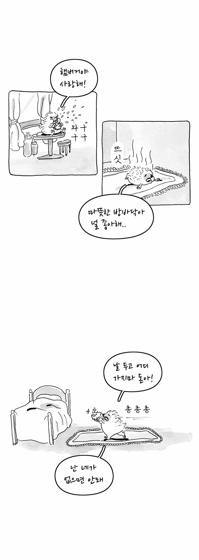 13 페이지