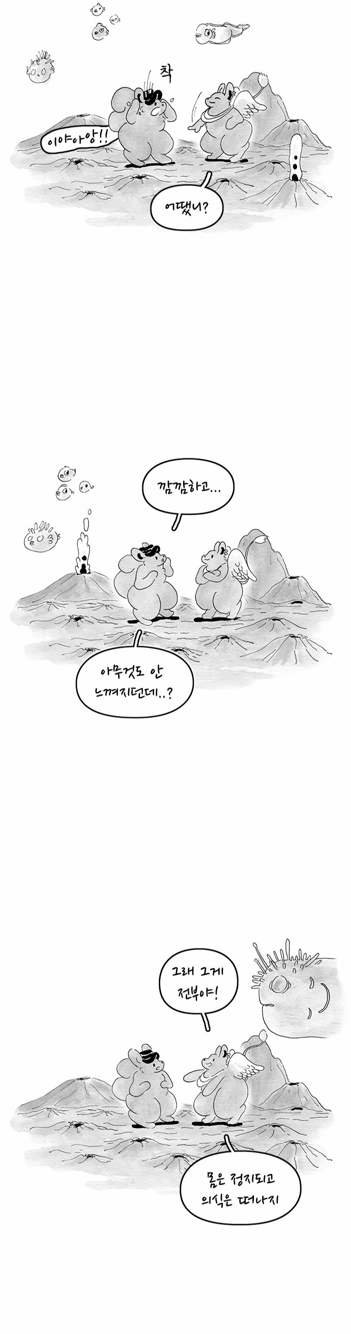 13 페이지