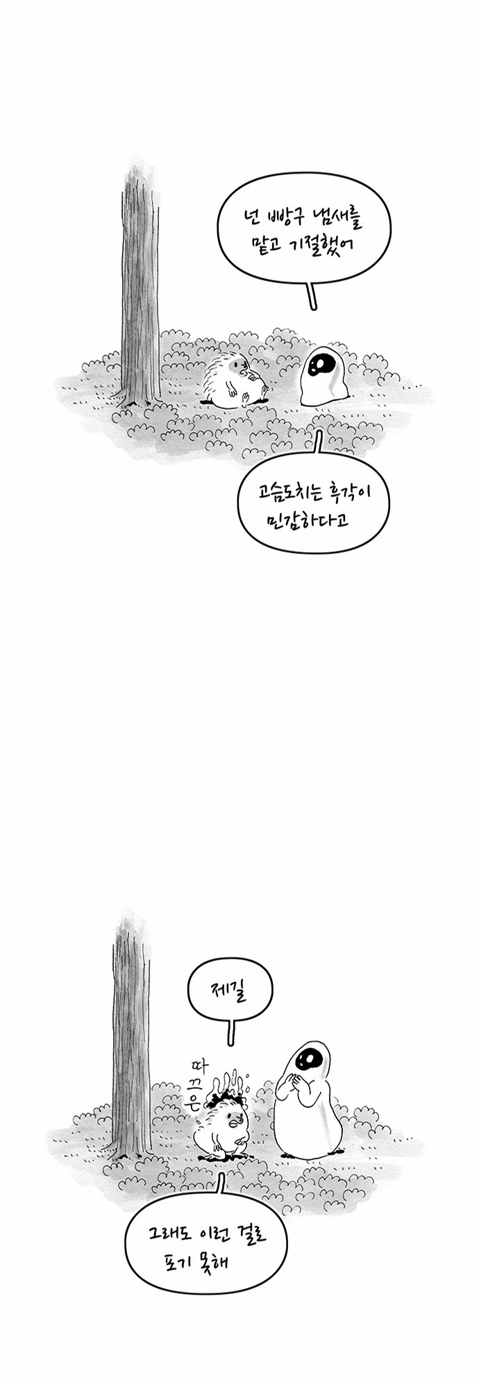 13 페이지