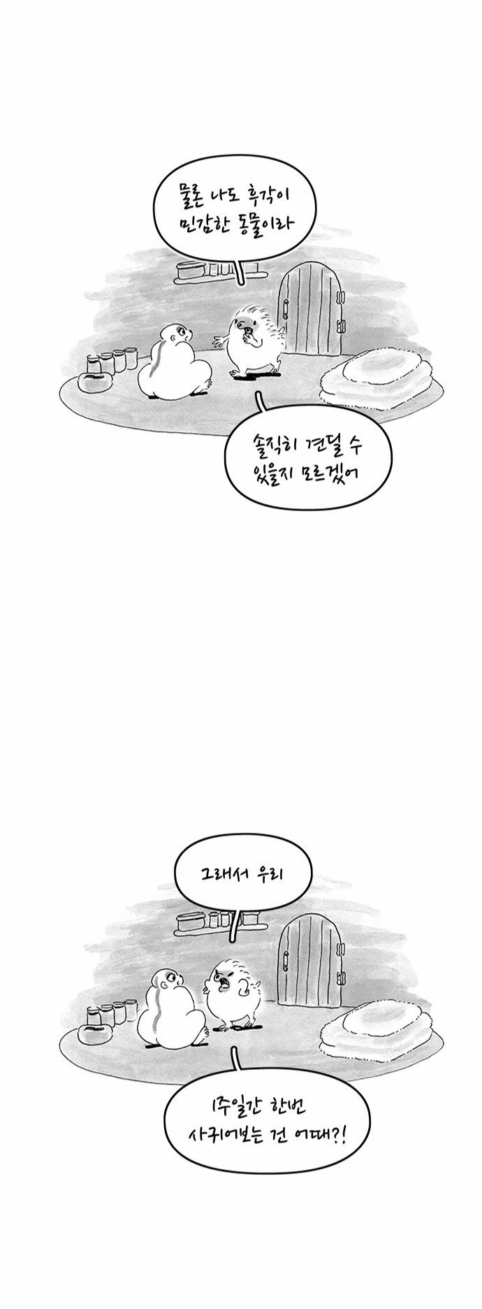 12 페이지