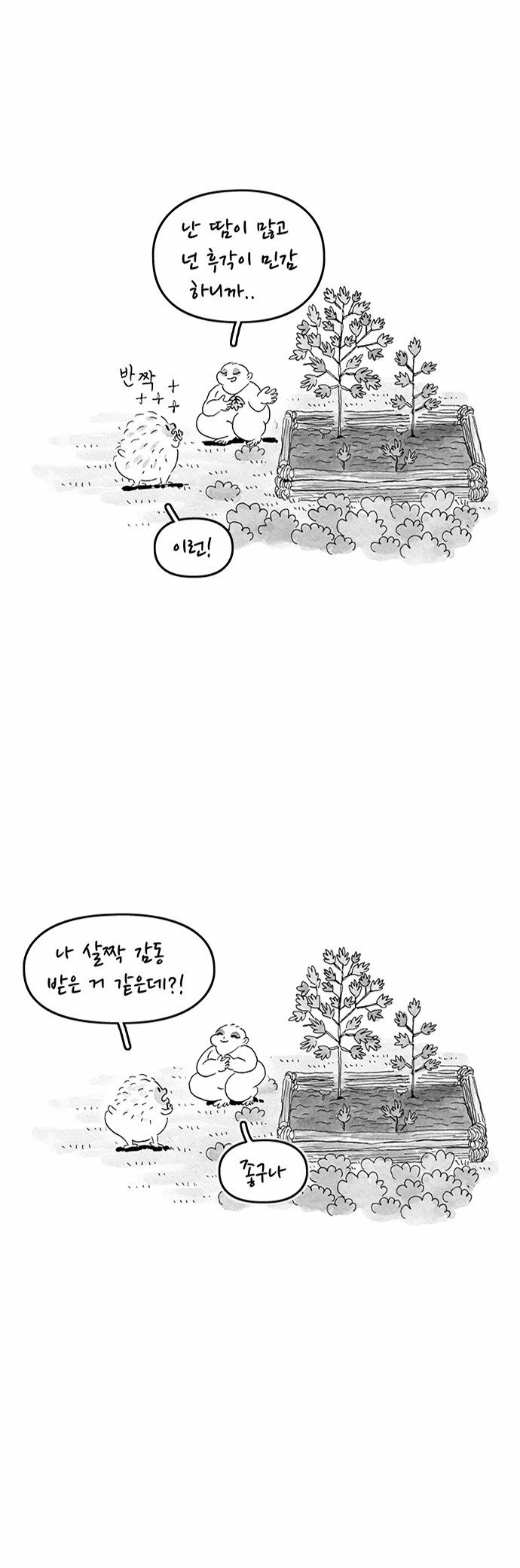 6 페이지