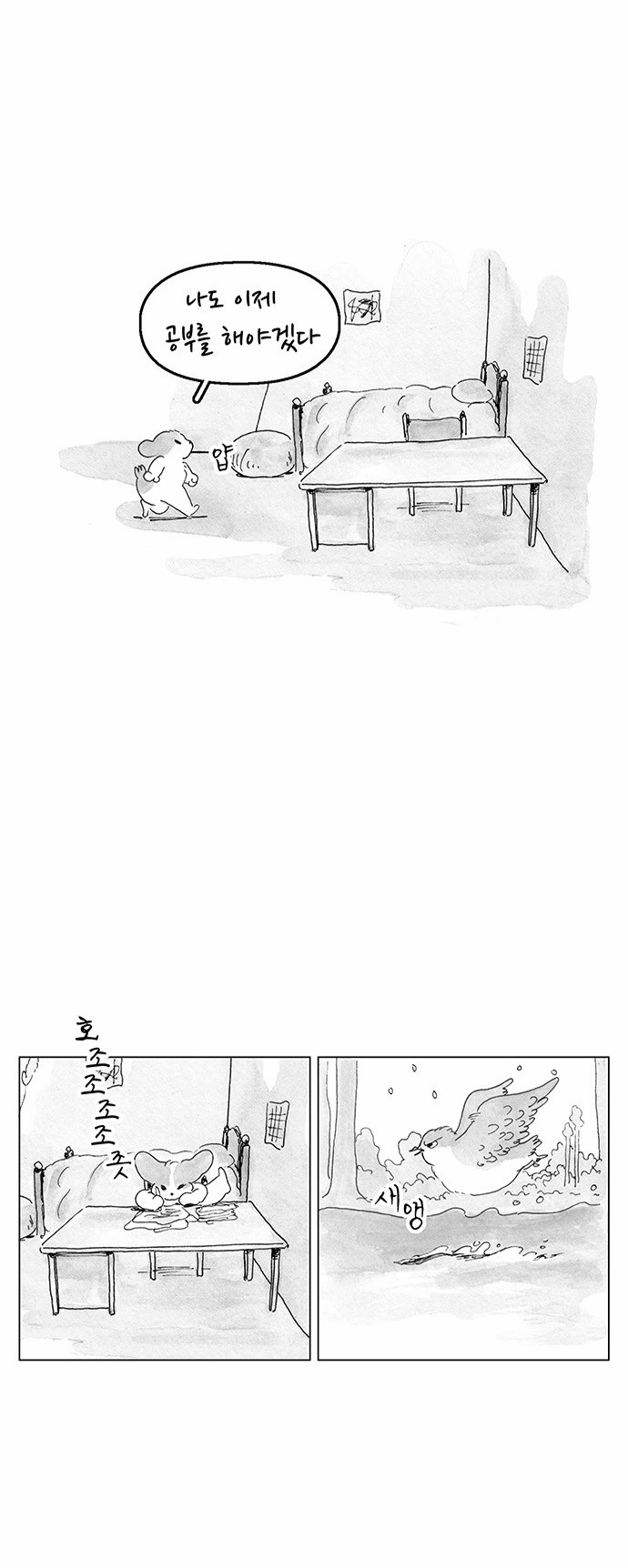 5 페이지